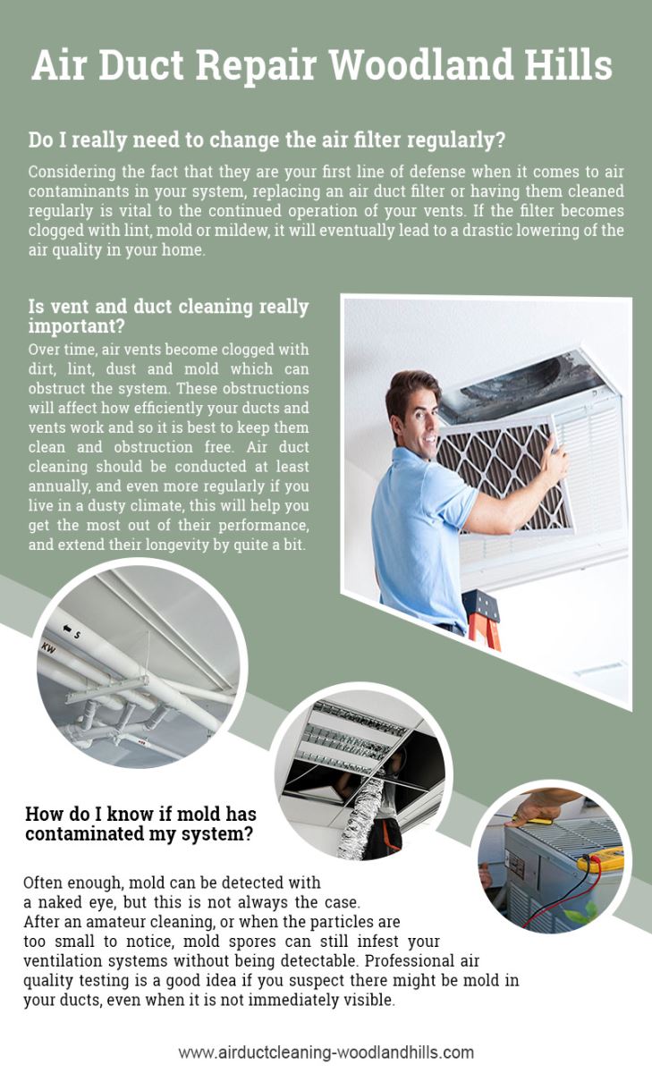 Air Duct Cleaning Woodland Hills Infographic