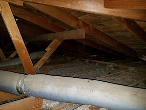 Attic Cleaning in California